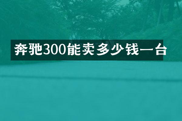奔驰300能卖多少钱一台