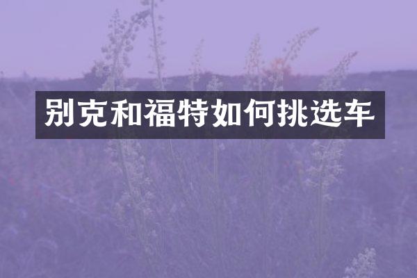 别克和福特如何挑选车