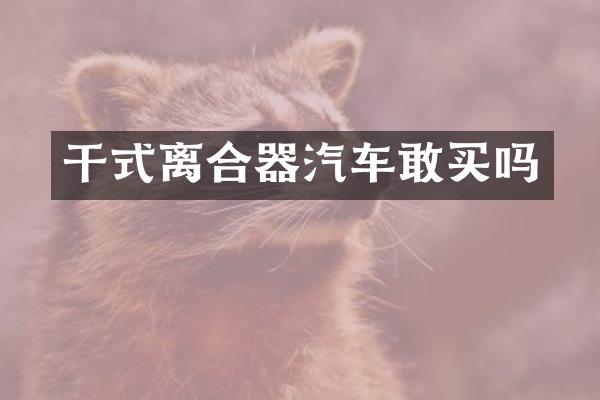 干式离合器汽车敢买吗