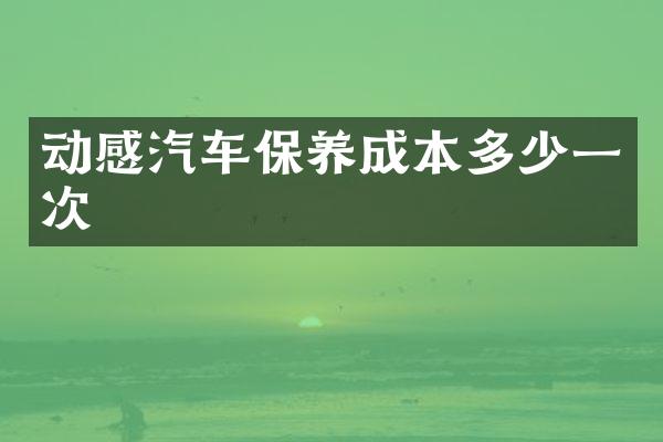 动感汽车保养成本多少一次