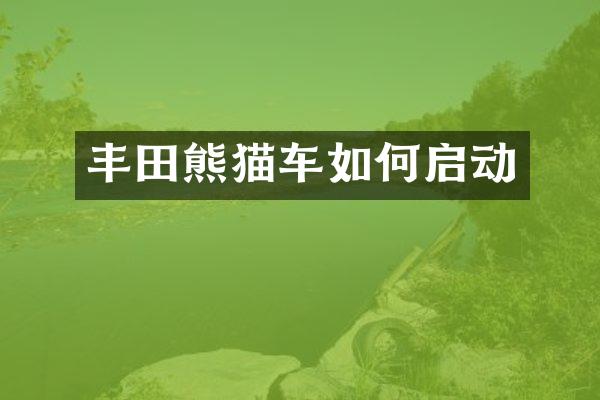 丰田熊猫车如何启动
