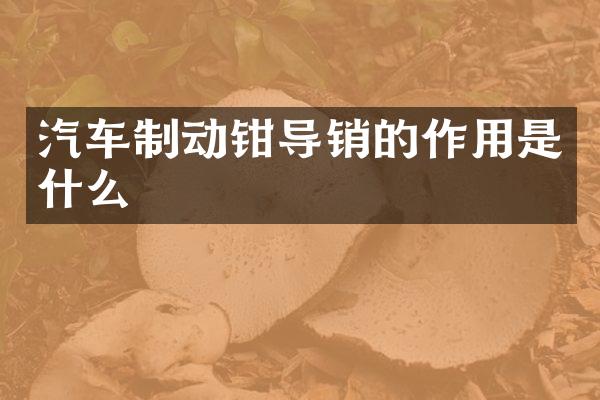 汽车制动钳导销的作用是什么