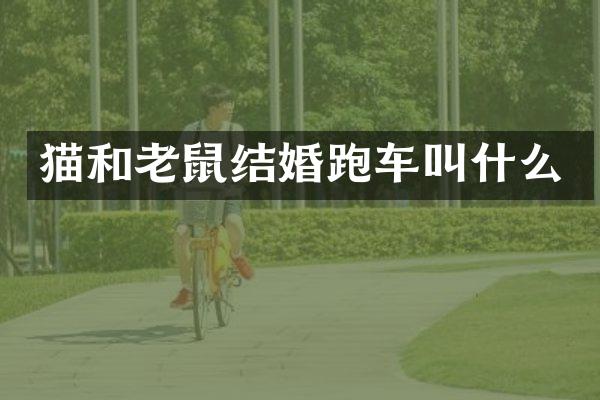 猫和老鼠结婚跑车叫什么