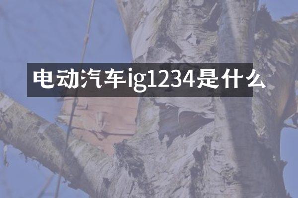 电动汽车ig1234是什么