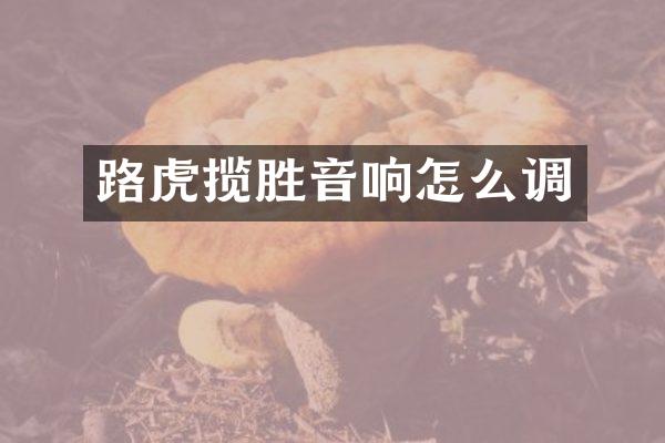 路虎揽胜音响怎么调