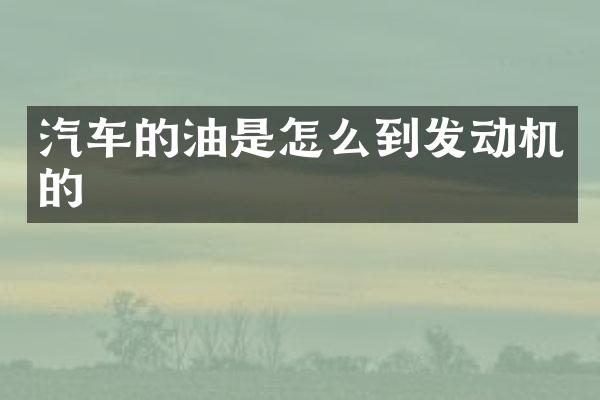 汽车的油是怎么到发动机的