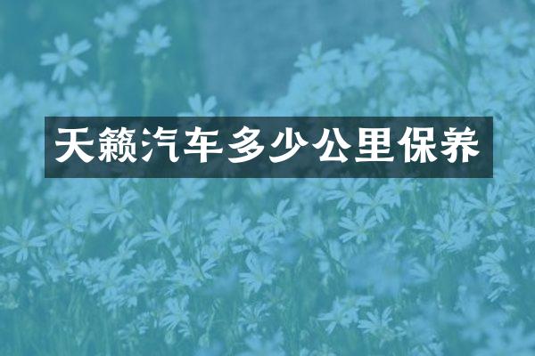 天籁汽车多少公里保养