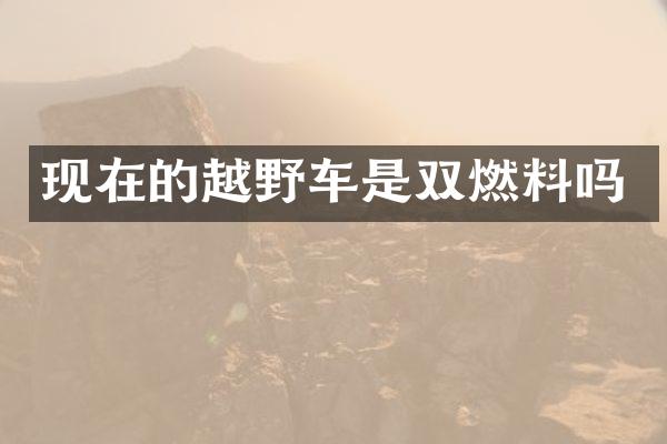 现在的越野车是双燃料吗