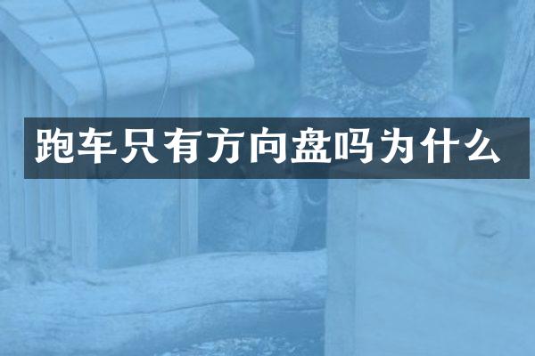 跑车只有方向盘吗为什么