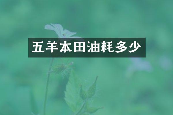 五羊本田油耗多少