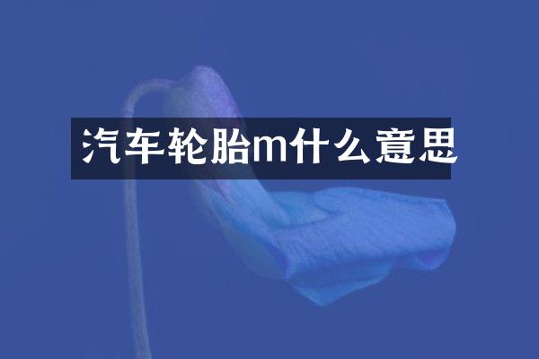 汽车轮胎m什么意思
