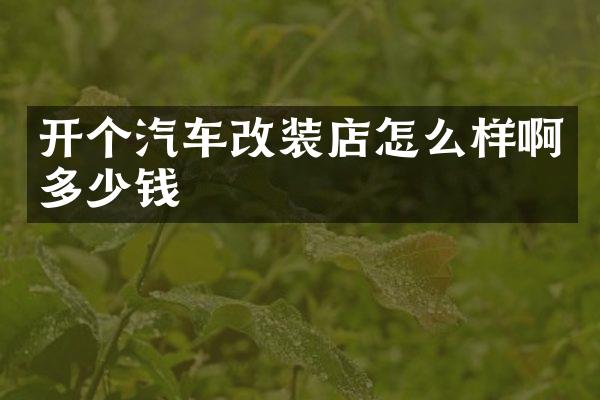 开个汽车改装店怎么样啊多少钱
