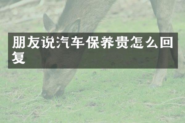 朋友说汽车保养贵怎么回复