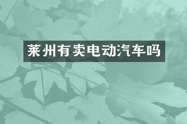 莱州有卖电动汽车吗