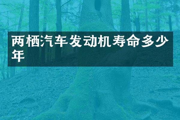 两栖汽车发动机寿命多少年