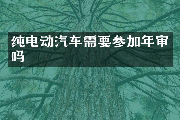 纯电动汽车需要参加年审吗