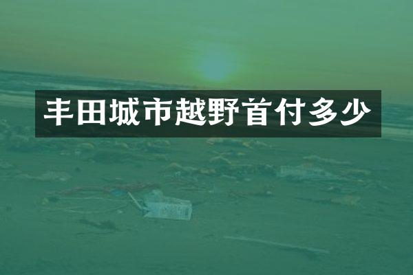 丰田城市越野首付多少