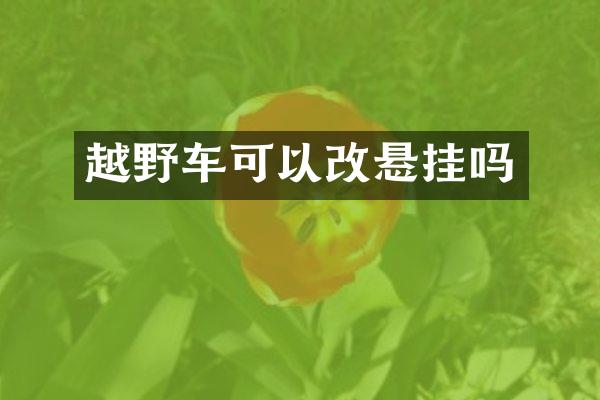 越野车可以改悬挂吗