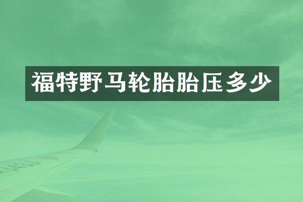 福特野马轮胎胎压多少