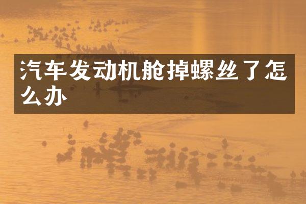 汽车发动机舱掉螺丝了怎么办