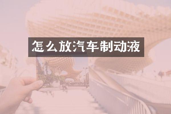 怎么放汽车制动液