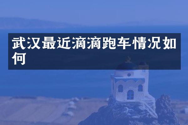 武汉最近滴滴跑车情况如何
