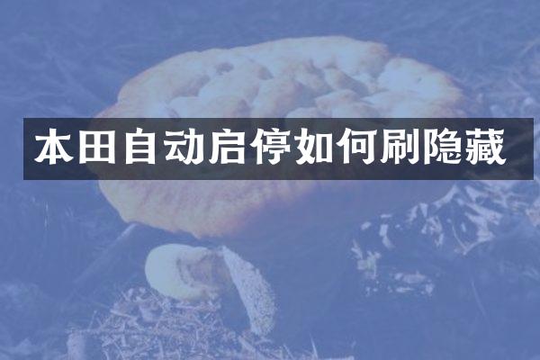 本田自动启停如何刷隐藏