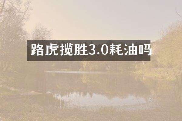 路虎揽胜3.0耗油吗