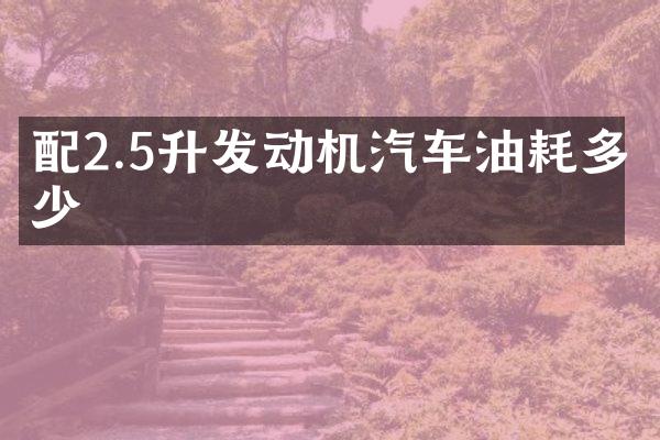 配2.5升发动机汽车油耗多少