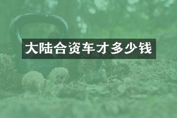 大陆合资车才多少钱
