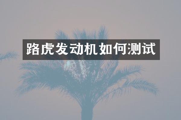 路虎发动机如何测试