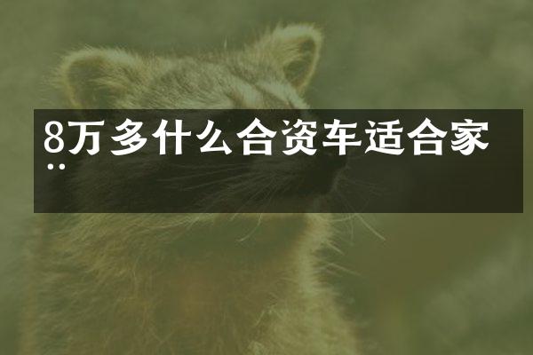 8万多什么合资车适合家用