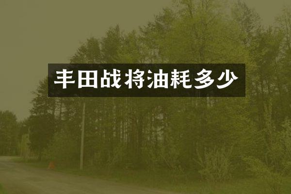 丰田战将油耗多少