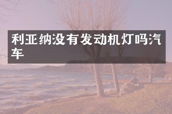 利亚纳没有发动机灯吗汽车