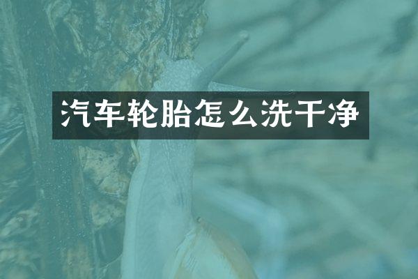 汽车轮胎怎么洗干净