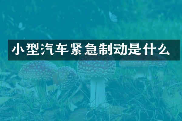 小型汽车紧急制动是什么