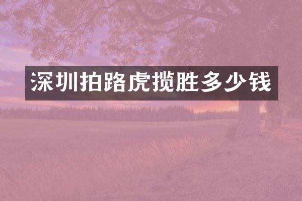 深圳拍路虎揽胜多少钱