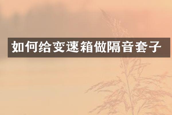 如何给变速箱做隔音套子