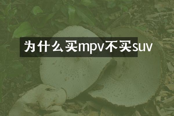 为什么买mpv不买suv
