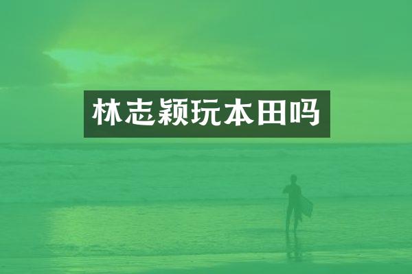 林志颖玩本田吗