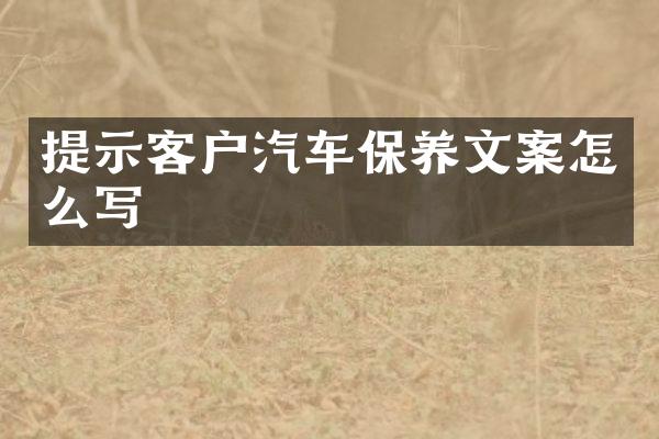 提示客户汽车保养文案怎么写