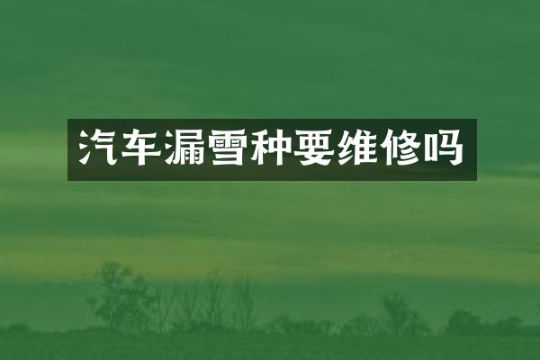 汽车漏雪种要维修吗
