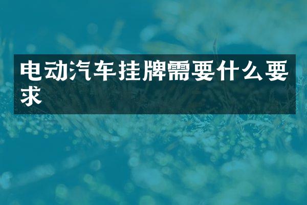 电动汽车挂牌需要什么要求