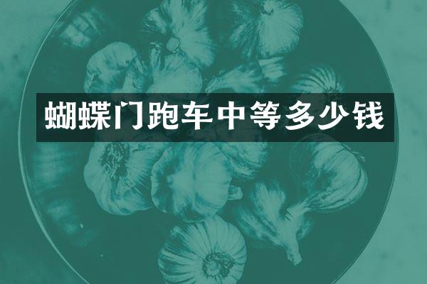 蝴蝶门跑车中等多少钱