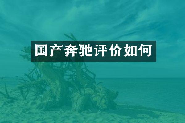 国产奔驰评价如何