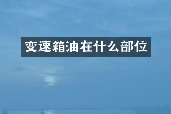 变速箱油在什么部位