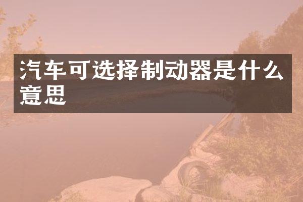 汽车可选择制动器是什么意思