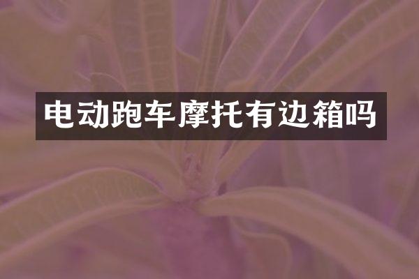 电动跑车摩托有边箱吗