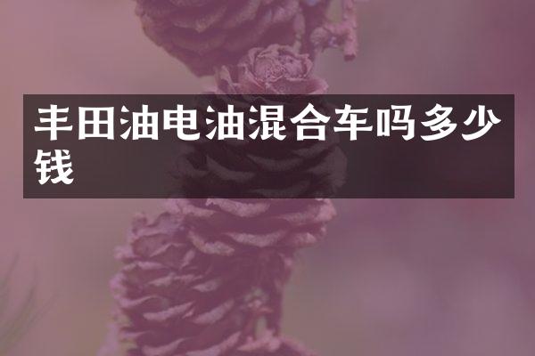 丰田油电油混合车吗多少钱