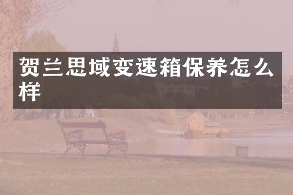 贺兰思域变速箱保养怎么样
